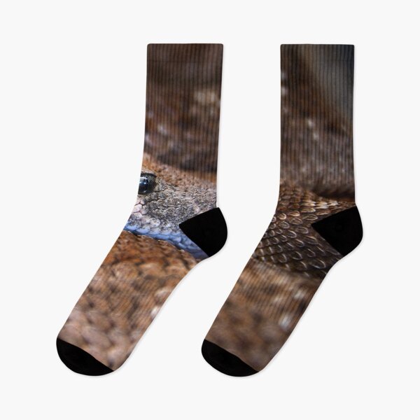 Item preview, Brown Snake – Silver-grey gaze directly at the viewer / Swiss Artwork Photography designed and sold by Raphael Wolf.