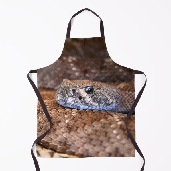 Item preview, Brown Snake – Silver-grey gaze directly at the viewer / Swiss Artwork Photography designed and sold by Raphael Wolf.
