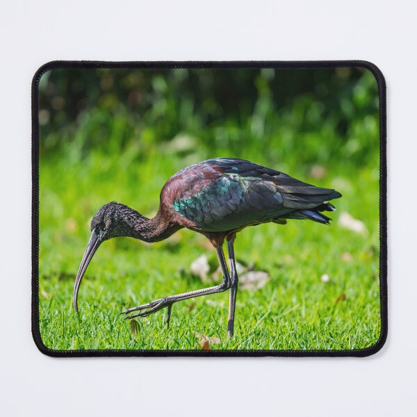 Item preview, Emerald Forager designed and sold by Jan Fijolek.