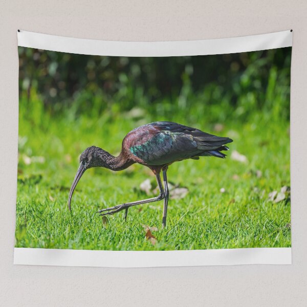 Item preview, Emerald Forager designed and sold by Jan Fijolek.