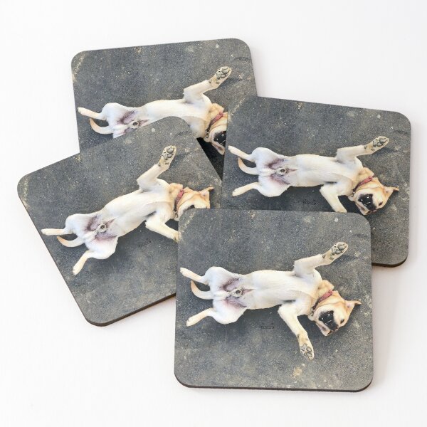 Item preview, Dog in joy – carefree zest for life / Swiss Artwork Photography designed and sold by Raphael Wolf.