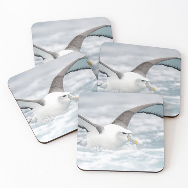 Item preview, White Capped Albatross land in foamy water designed and sold by GivernyKate.