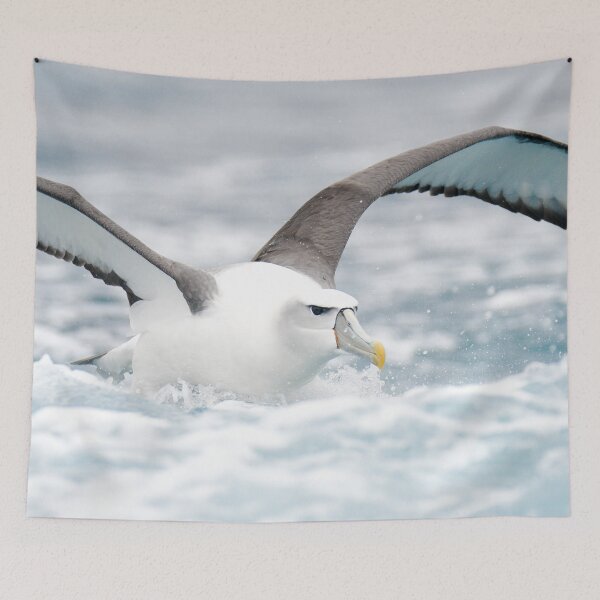 Item preview, White Capped Albatross land in foamy water designed and sold by GivernyKate.