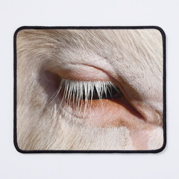 Item preview, Cow Eye – Female Beauty of the Animal World / Swiss Artwork Photography designed and sold by Raphael Wolf.