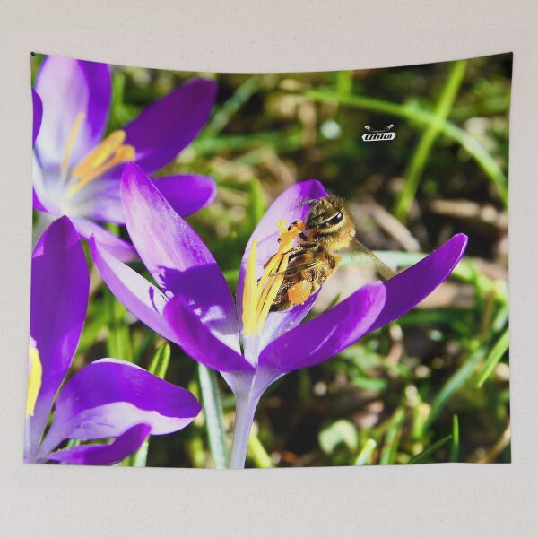Item preview, Honeybee in a flower calyx – Lively & Determined / Swiss Artwork Photography designed and sold by Raphael Wolf.