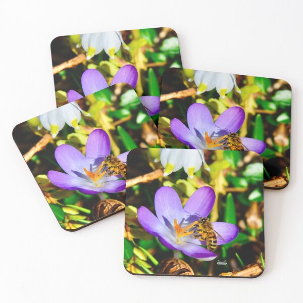 Item preview, Honeybee in a flower calyx – Lovable & Delicate / Swiss Artwork Photography designed and sold by Raphael Wolf.