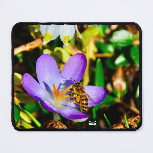 Item preview, Honeybee in a flower calyx – Lovable & Delicate / Swiss Artwork Photography designed and sold by Raphael Wolf.