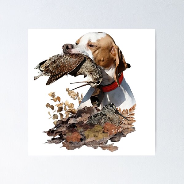 Item preview, English Pointer ,  Hunter of the Woodcock Forest designed and sold by TammyHunterArt.