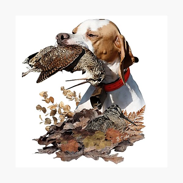 Item preview, English Pointer ,  Hunter of the Woodcock Forest designed and sold by TammyHunterArt.