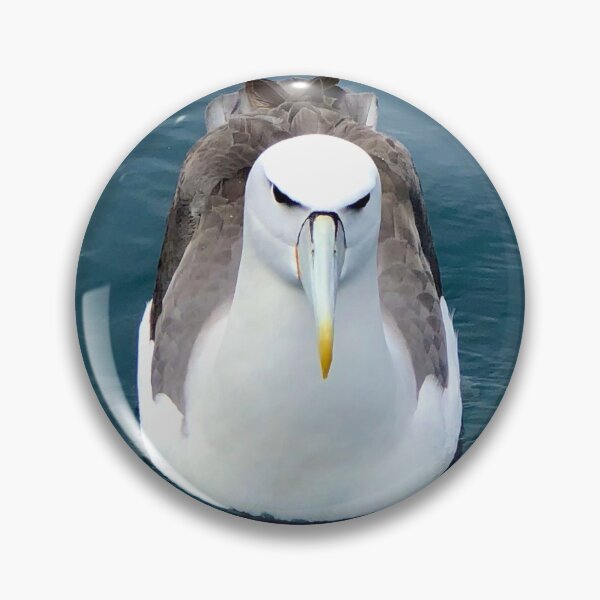 Item preview, White-Capped Albatross New Zealand designed and sold by mosgol.