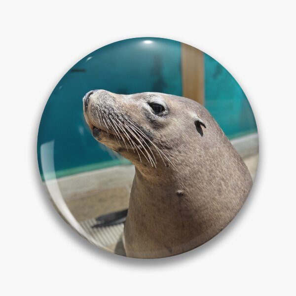 Item preview, Seal designed and sold by clairemvn.