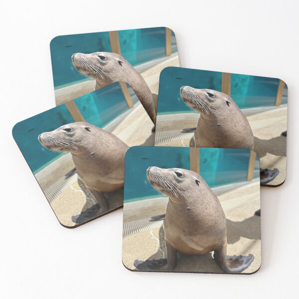 Item preview, Seal designed and sold by clairemvn.