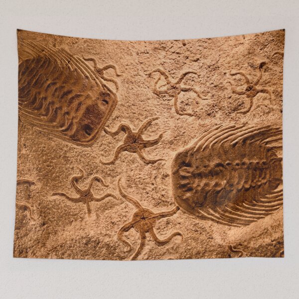 Item preview, Fossilized prehistoric animals – witnesses to Earth's history / Swiss Artwork Photography designed and sold by Raphael Wolf.