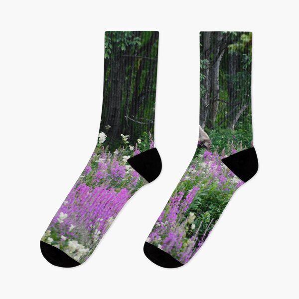 Item preview, Moose in a sea of flowers – Majestic & Peaceful / Swiss Artwork Photography designed and sold by Raphael Wolf.