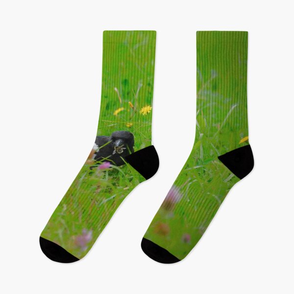 Item preview, Magpie in a flower meadow – Vibrant & Colorful / Swiss Artwork Photography designed and sold by Raphael Wolf.