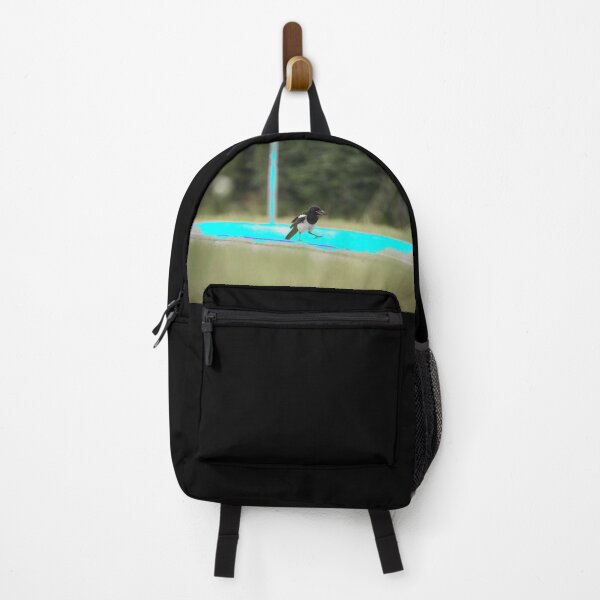 Item preview, Magpie on the street – Open beak & turquoise / Swiss Artwork Photography designed and sold by Raphael Wolf.