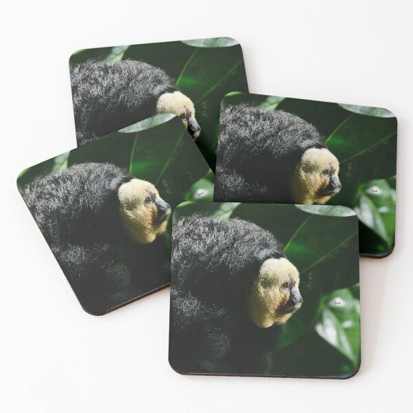Item preview, White-faced Saki – Fascinating & Close-up / Swiss Artwork Photography designed and sold by Raphael Wolf.