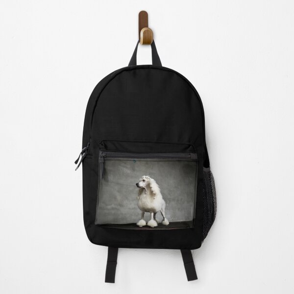 Item preview, Standard Poodle Portrait – Stolz & Urban / Swiss Artwork Photography designed and sold by Raphael Wolf.