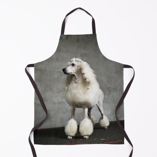 Item preview, Standard Poodle Portrait – Stolz & Urban / Swiss Artwork Photography designed and sold by Raphael Wolf.