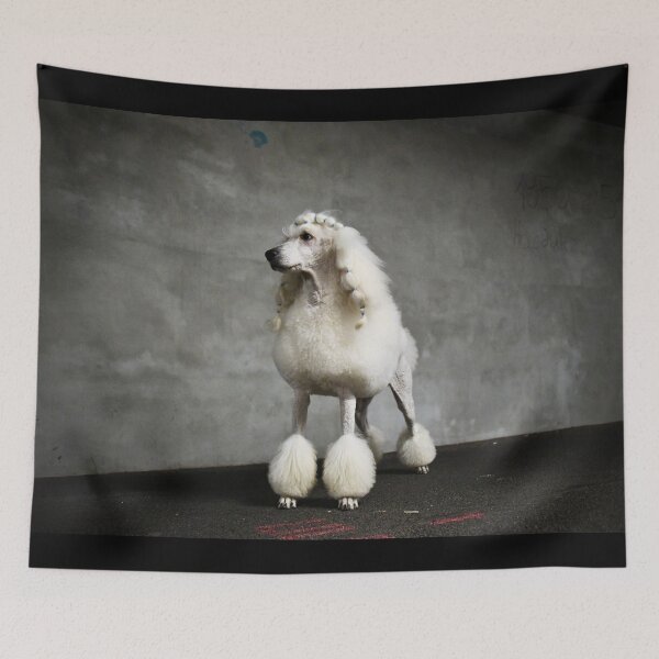 Item preview, Standard Poodle Portrait – Stolz & Urban / Swiss Artwork Photography designed and sold by Raphael Wolf.