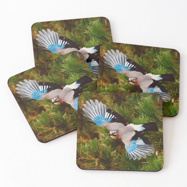 Item preview, Jay in flight – Colorful & Elegant / Swiss Artwork Photography designed and sold by Raphael Wolf.