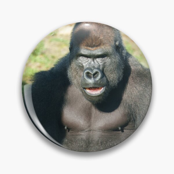 Item preview, Lope Catching Breath with Grit designed and sold by rawshutterbug.