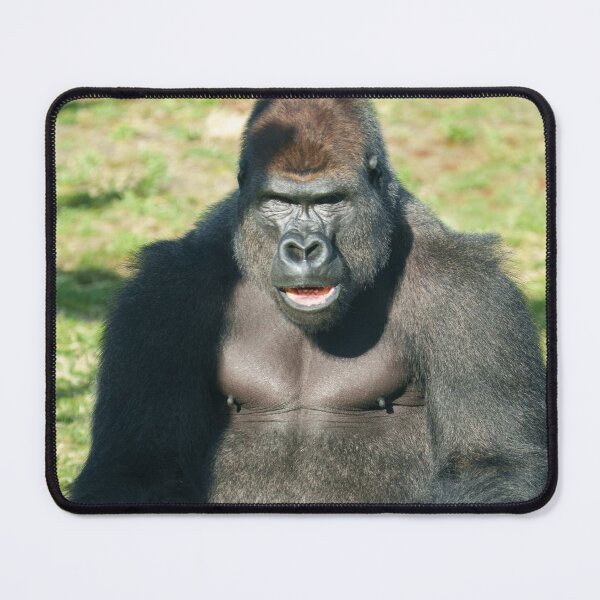 Item preview, Lope Catching Breath with Grit designed and sold by rawshutterbug.
