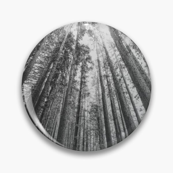 Item preview, Tall Forest Trees Into the Sky Black and White Photographic Print designed and sold by Mother-Nature65.