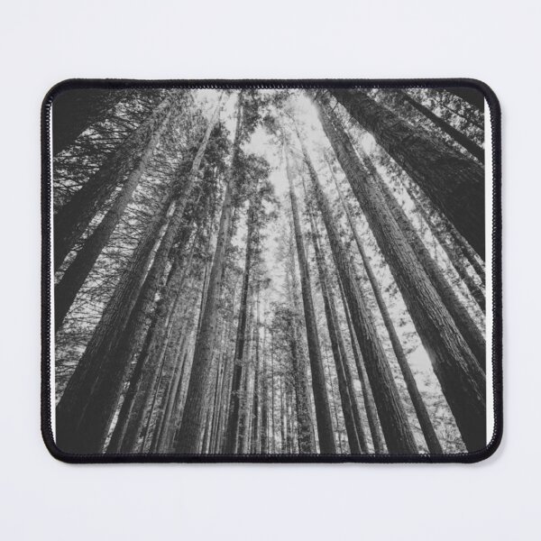 Item preview, Tall Forest Trees Into the Sky Black and White Photographic Print designed and sold by Mother-Nature65.