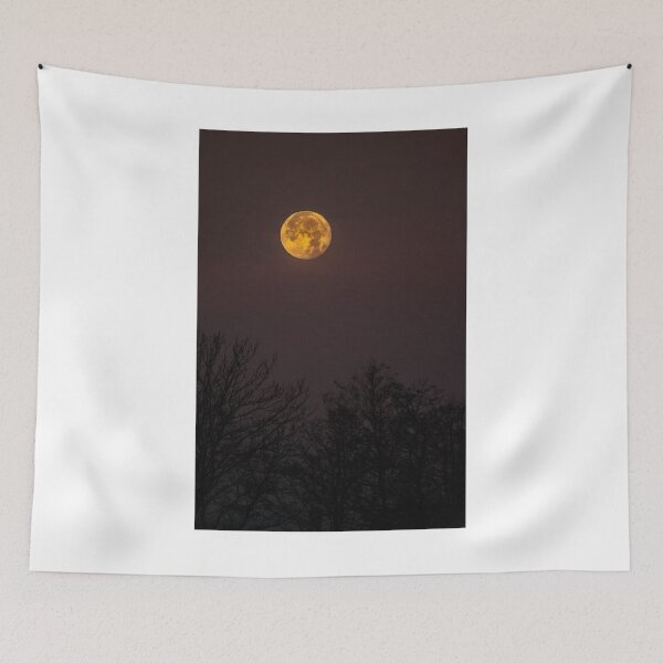 Item preview, Golden Moon Silhouette Trees Photographic Print designed and sold by Mother-Nature65.