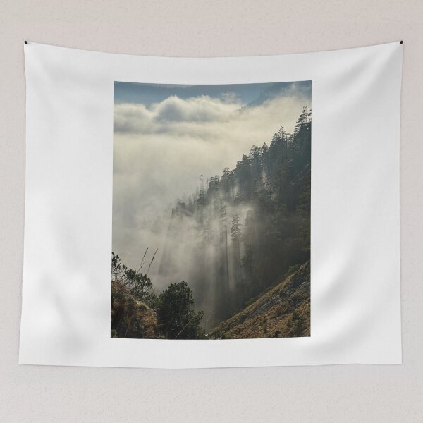 Item preview, Clouds and Mist Covering Forest Trees Photographic Print designed and sold by Mother-Nature65.