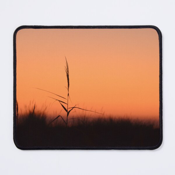 Item preview, A blade of grass in the evening light – Solitary blade of grass & sunset / Swiss Artwork Photography designed and sold by Raphael Wolf.