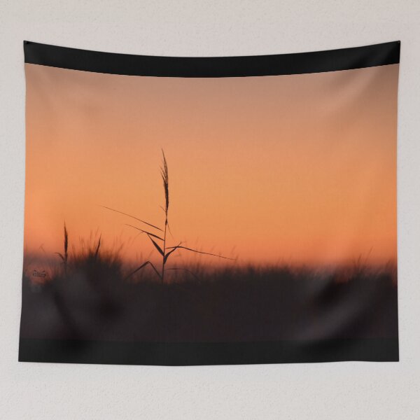 Item preview, A blade of grass in the evening light – Solitary blade of grass & sunset / Swiss Artwork Photography designed and sold by Raphael Wolf.