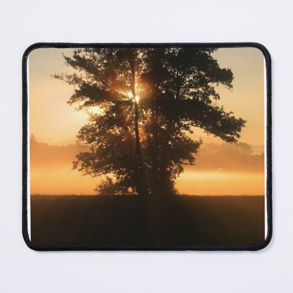 Item preview, Sunset Through Silhouette Tree Photographic Print designed and sold by Mother-Nature65.