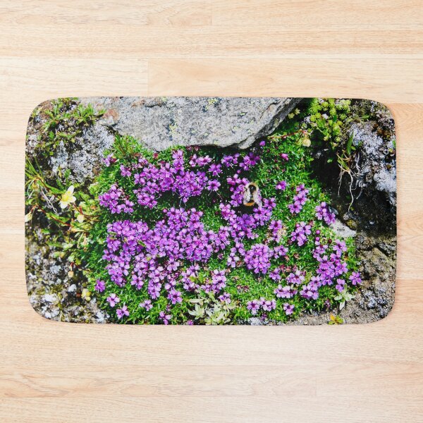 Item preview, Violet Alpine Flowers – A Delicate Explosion of Color in Stone / Swiss Artwork Photography designed and sold by Raphael Wolf.