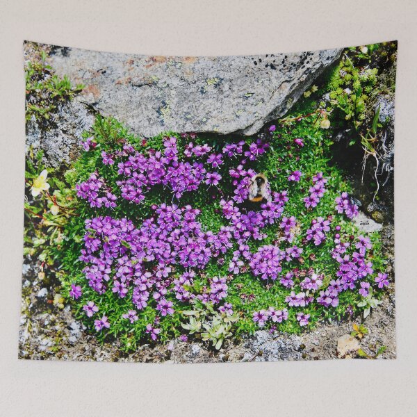 Item preview, Violet Alpine Flowers – A Delicate Explosion of Color in Stone / Swiss Artwork Photography designed and sold by Raphael Wolf.