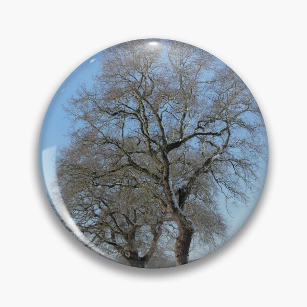 Item preview, Tree Line Snow Field Blue Sky Photographic Print designed and sold by Mother-Nature65.
