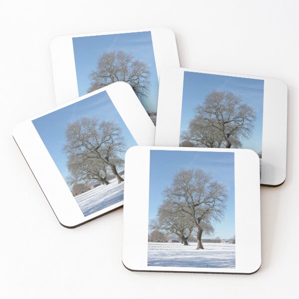 Artikelvorschau, Baumgrenze Schneefeld Blauer Himmel Fotodruck entworfen und verkauft von Mother-Nature65.