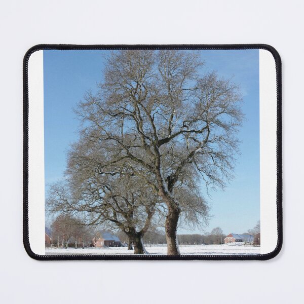 Item preview, Tree Line Snow Field Blue Sky Photographic Print designed and sold by Mother-Nature65.