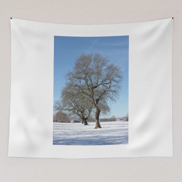Artikelvorschau, Baumgrenze Schneefeld Blauer Himmel Fotodruck entworfen und verkauft von Mother-Nature65.