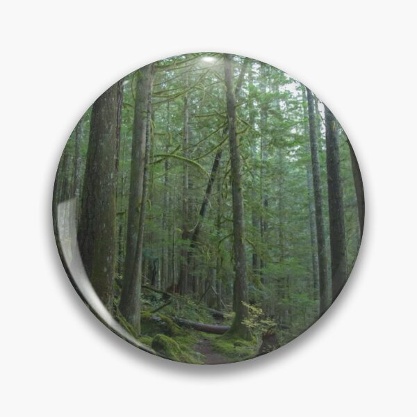 Item preview, Forest Path Scene Photographic Print designed and sold by Mother-Nature65.