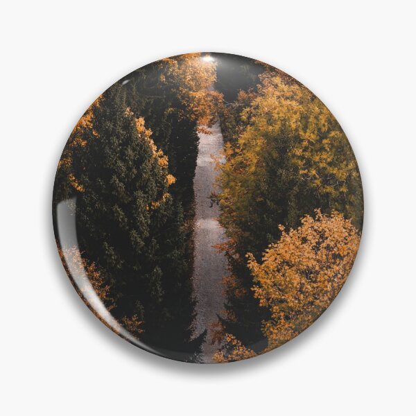 Artikelvorschau, Straße durch Herbstwaldbäume Fotodruck entworfen und verkauft von Mother-Nature65.