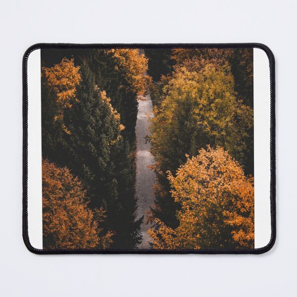 Item preview, Road Through Autumn Forest Trees Photographic Print designed and sold by Mother-Nature65.