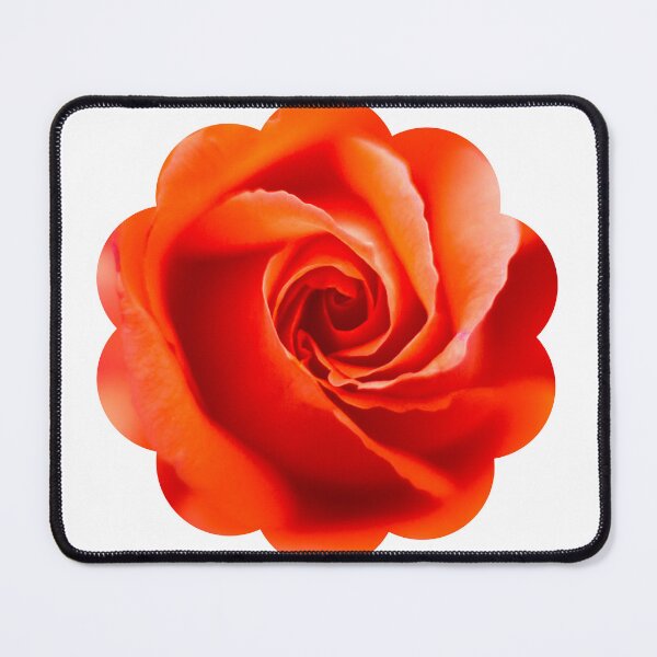 Item preview, Orange Rose by heidiannemorris  designed and sold by FOLK ART FUSION by heidiannemorris.