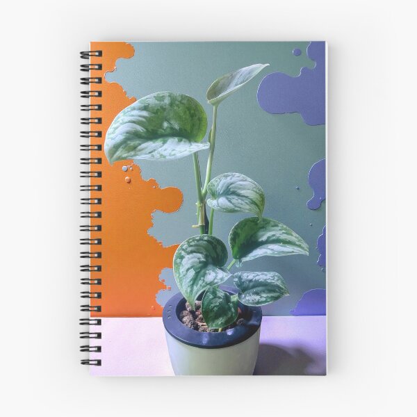 Item preview, Scindapsus Pictus Exotica Modern Art Print designed and sold by AroidIsland.