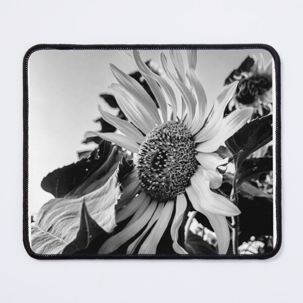 Item preview, Sunflower Head Close Up Black and White Photographic Print designed and sold by Mother-Nature65.