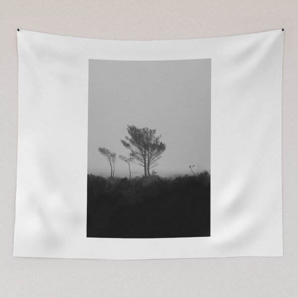 Item preview, Tree Silhouette In Mist Black and White Photographic Print designed and sold by Mother-Nature65.