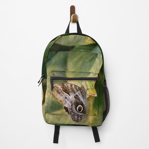 Item preview, Owl bitterfly. Wien 2025 designed and sold by Jouko Lehto Photography.