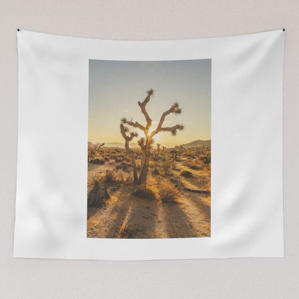 Item preview, Sun Through Desert Plants Photographic Print designed and sold by Mother-Nature65.