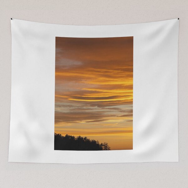 Item preview, Sunset Silhouette Trees Photographic Print designed and sold by Mother-Nature65.